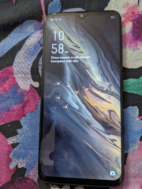 oppo f11 6