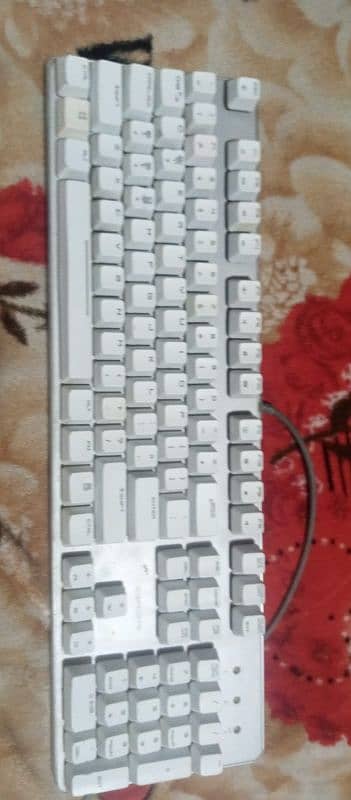 Esports Fully Mechanical Keyboard 1