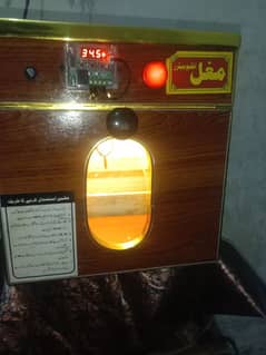 incubator for sale