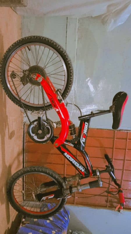 Bicycle 0