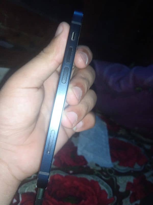 IPHONE 12 MIMI 256 2