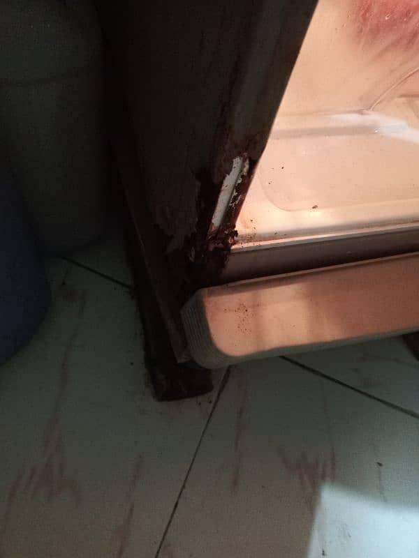 peel fridge 0