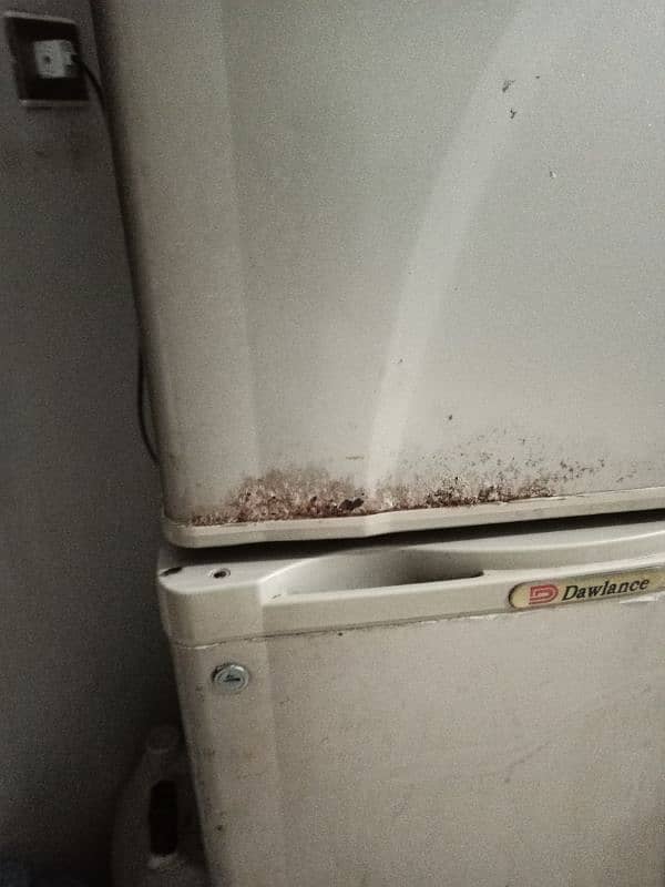 peel fridge 4