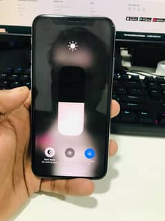 Apple iPhone X