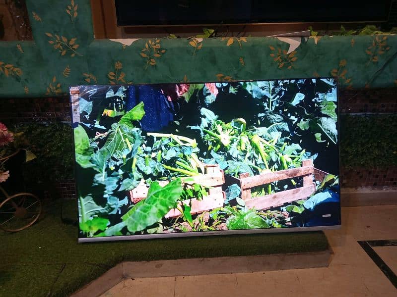 Haiger led 2