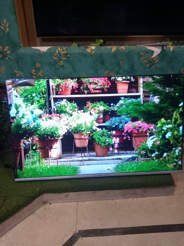 Haiger led 4