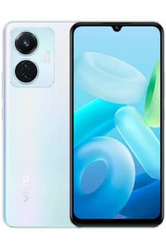 y55