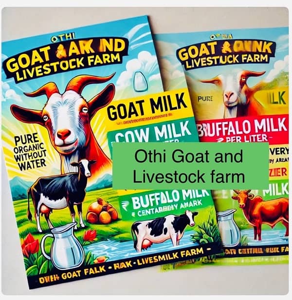 Fresh cow buffalo milk farm 1