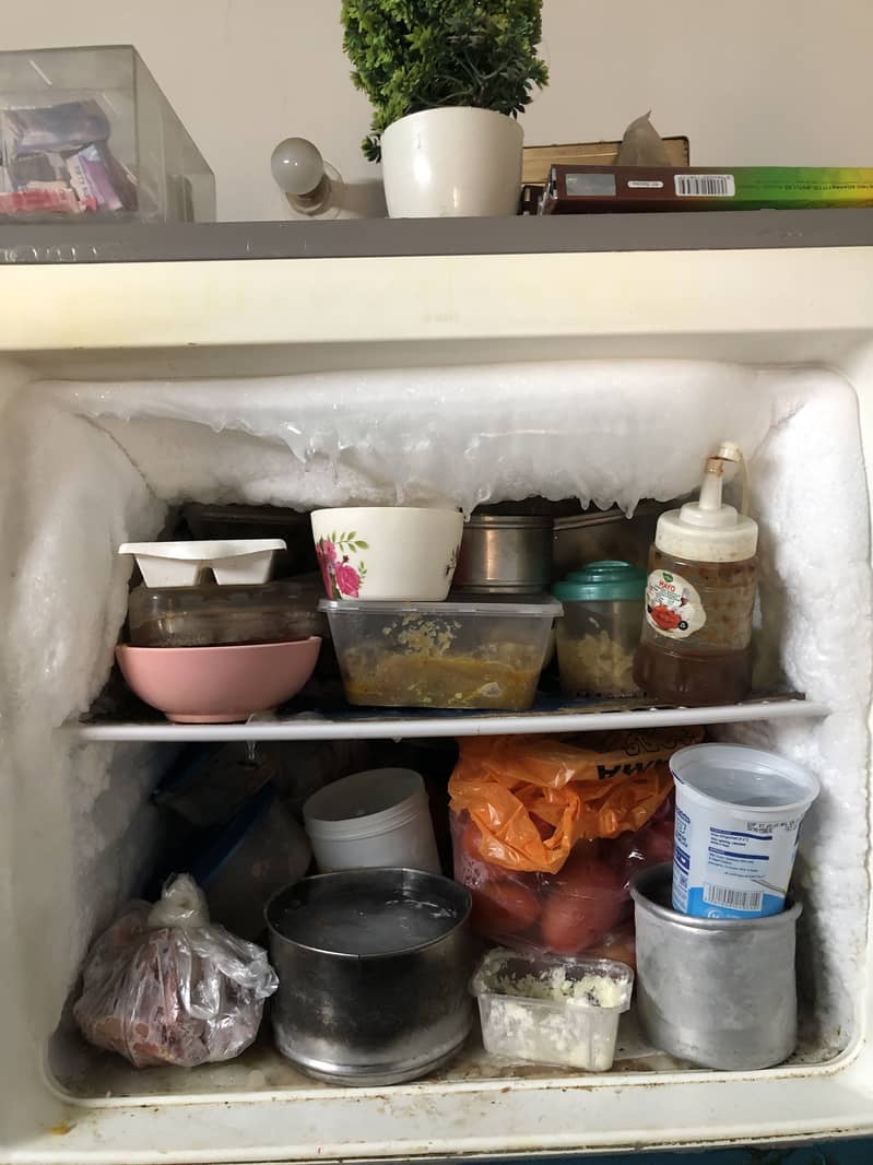 ELECTROLUX FRIDGE IN BEST WORKING CONDITION FULL SIZE 6
