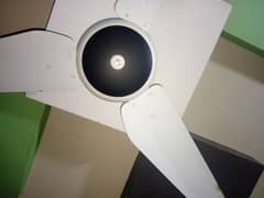 celling