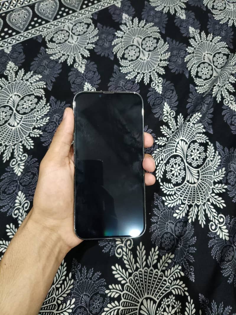 Iphone 13 pro max 0