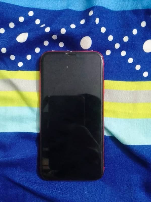 iPhone 11 pta proved 1