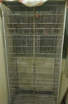 birds cage