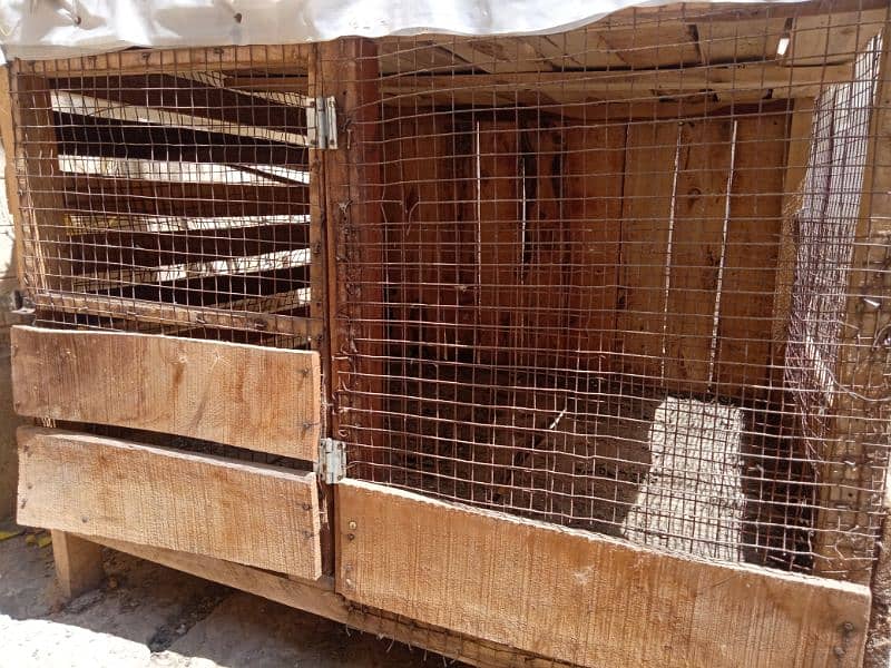 Hens Cage 2
