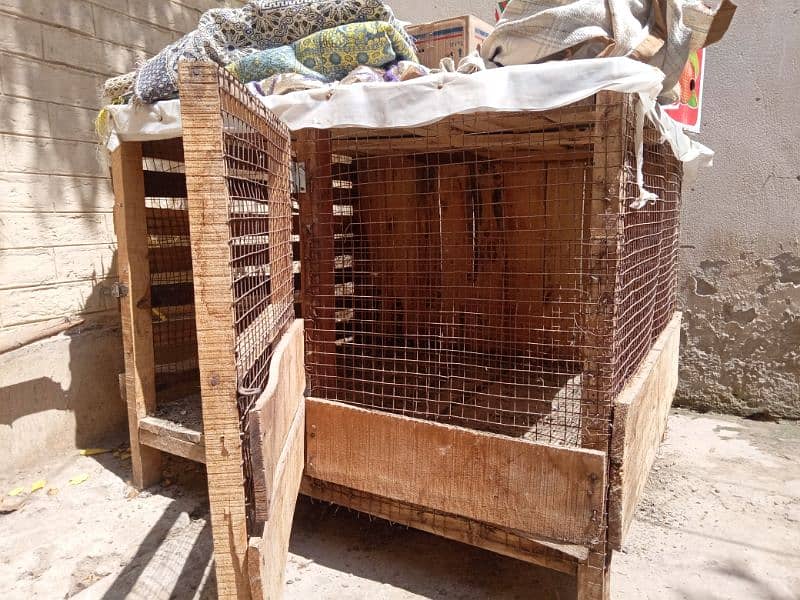 Hens Cage 0