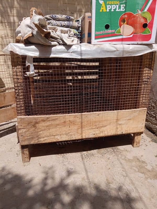Hens Cage 1