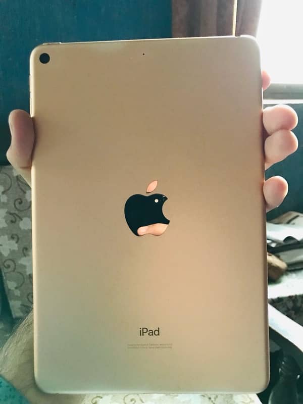 iPad mini 5 256GB Rose Gold with Box for sale 7