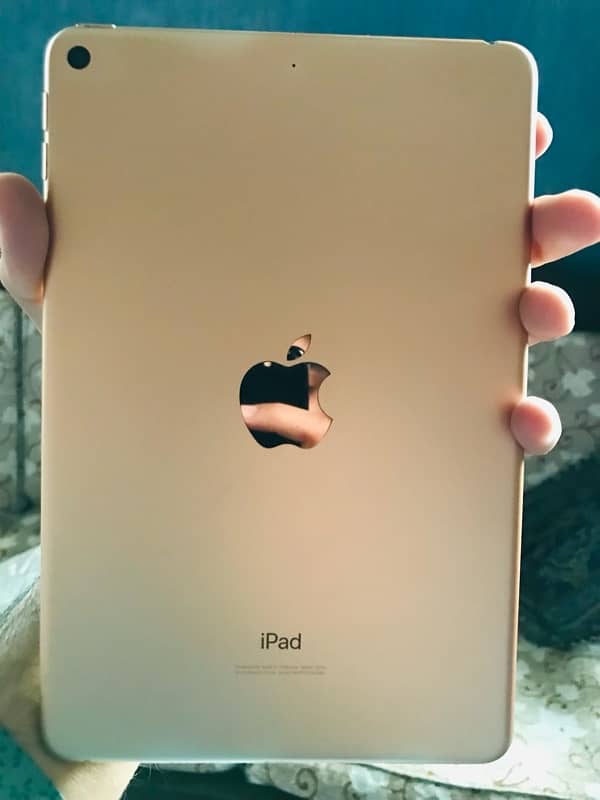 iPad mini 5 256GB Rose Gold with Box for sale 8