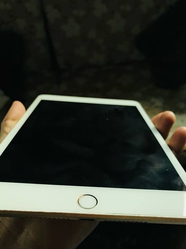 iPad mini 5 256GB Rose Gold with Box for sale 10