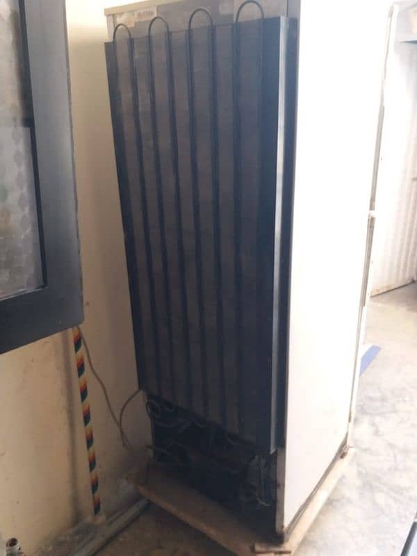 Pel Refrigerator Good Condition 6