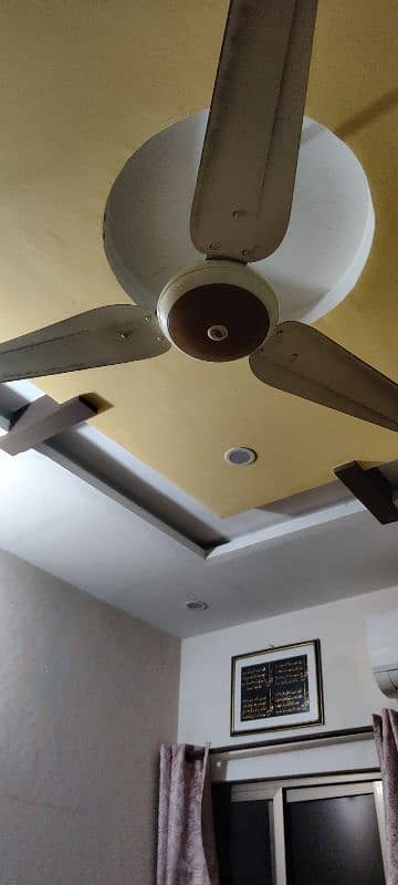 2 sk fans availible 0
