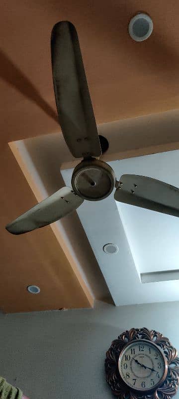 2 sk fans availible 1