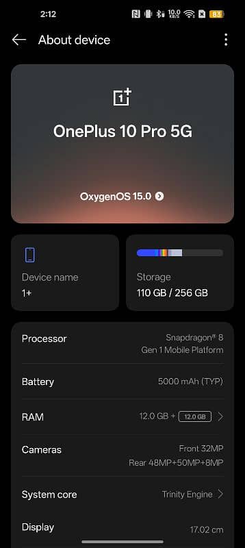 OnePlus 10 pro 12+12 /256GB 1