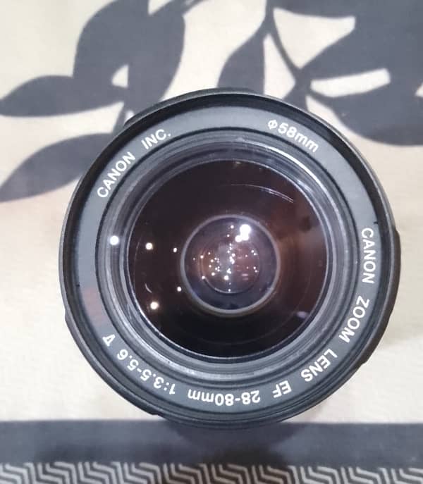 canon 40d professional body 3