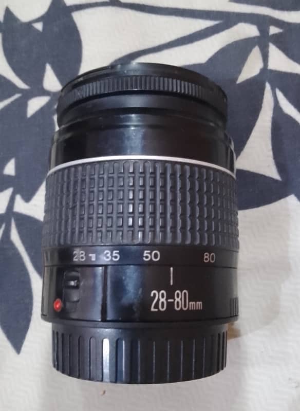 canon 40d professional body 7