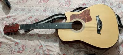 Hi Volts Acoustic guitar