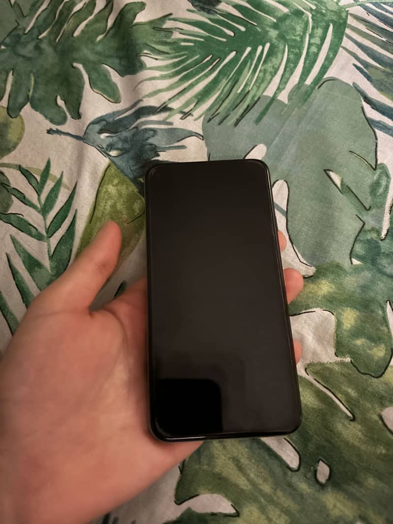 Google pixel 5 (panel not working) 1