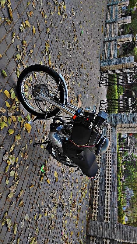 Honda cg 125 2023 double saman (red)brandnew bike 1