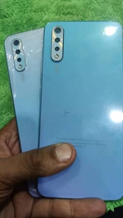 Vivo
