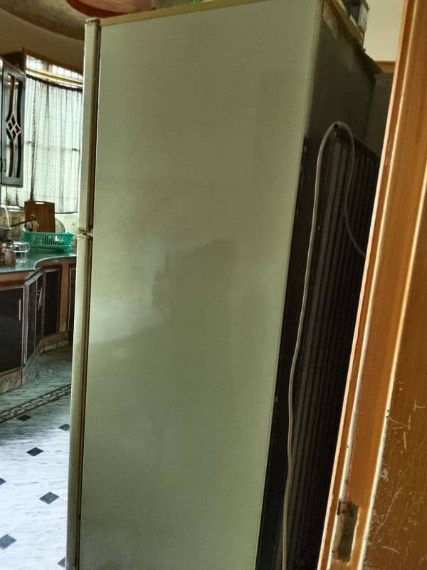 medium size fridge 1