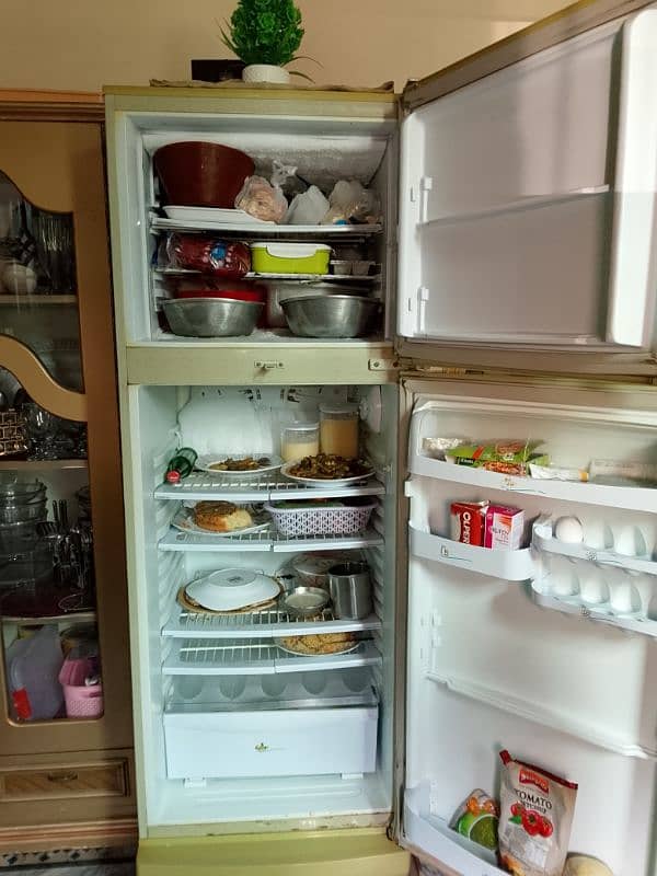 medium size fridge 3