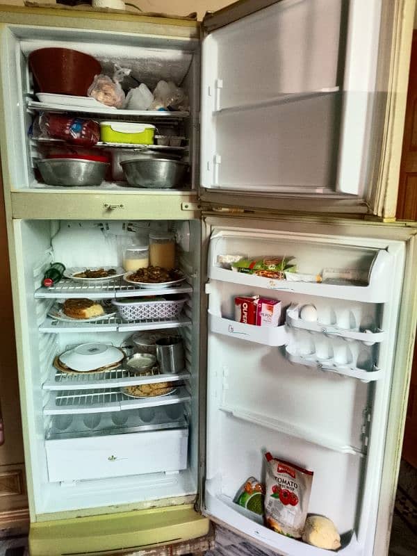 medium size fridge 4