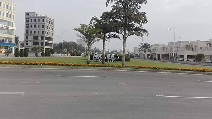 Plot No 95#G4 facing park Top location plot for sale 6