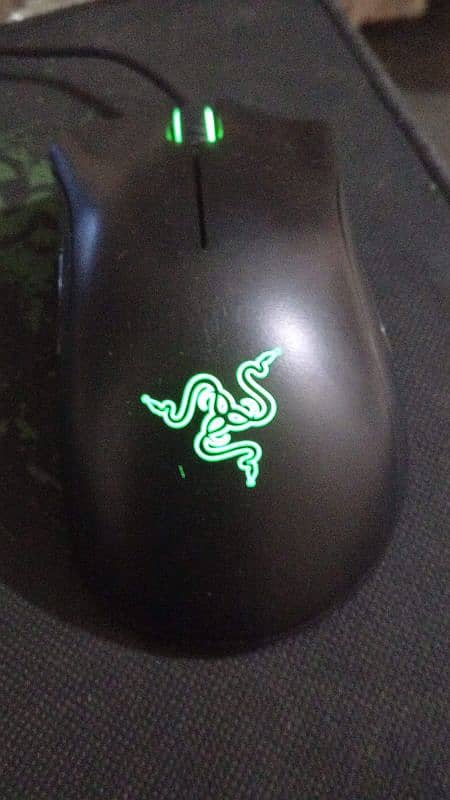 Razer Death Adder Essential 0