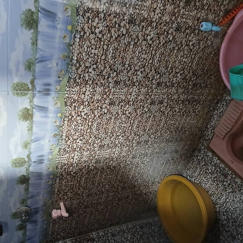 Nishtar Colony House Sized 1 Marla 1