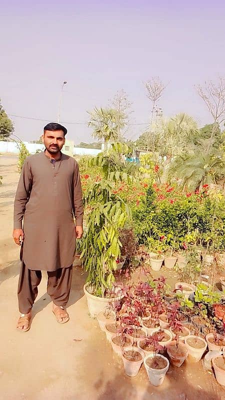 looking for job 2