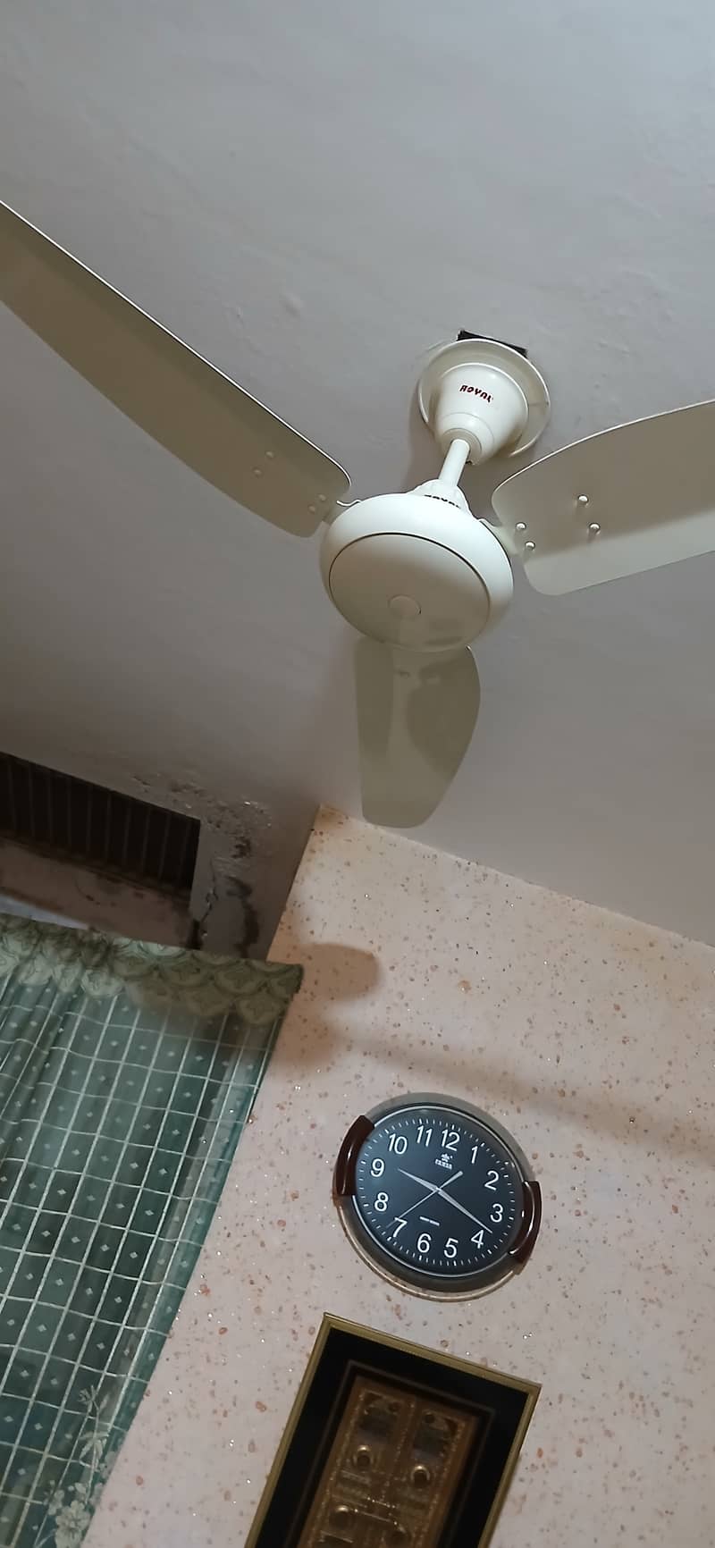 Royal fan 3