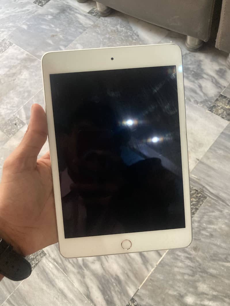 Ipad Mini 5 256gb 5