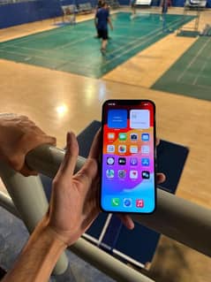 iphone 12 pro max pta