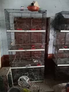 8 portion ali cage