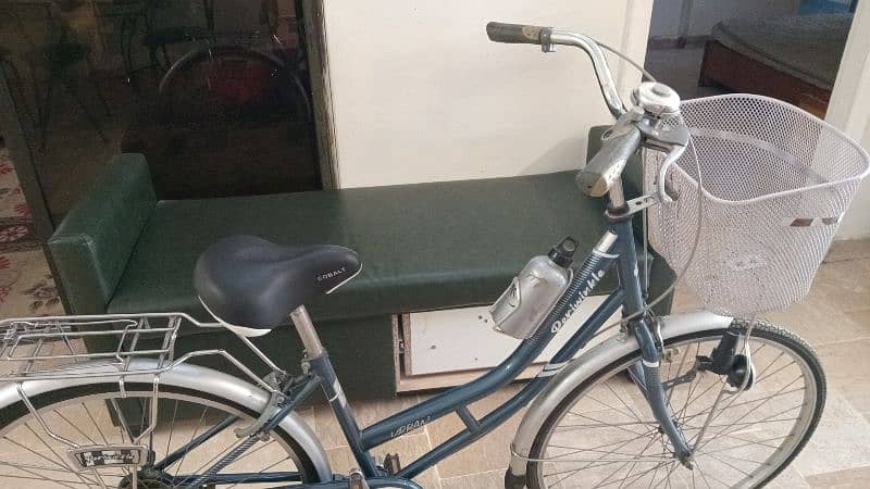 Morgan Bicycle 29 inch 0