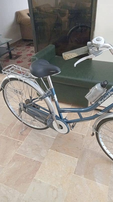 Morgan Bicycle 29 inch 1