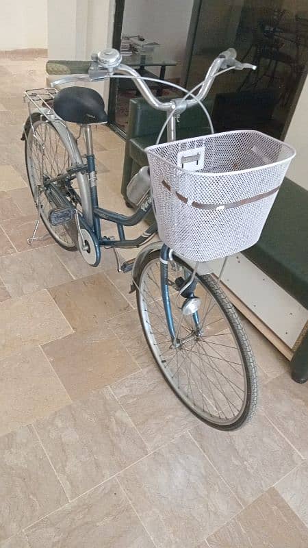 Morgan Bicycle 29 inch 2