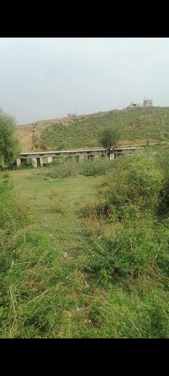 Agricultural, Dairy,Goat, Cattle and Poultary Farms available for Rent 1