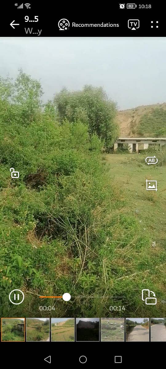 Agricultural, Dairy,Goat, Cattle and Poultary Farms available for Rent 2