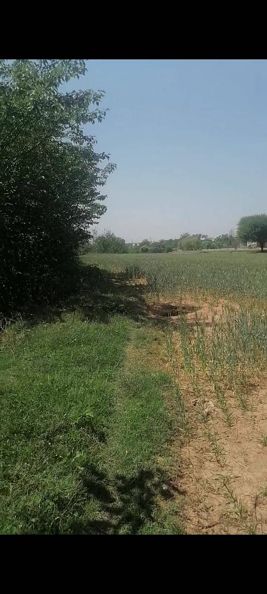 Agricultural, Dairy,Goat, Cattle and Poultary Farms available for Rent 3